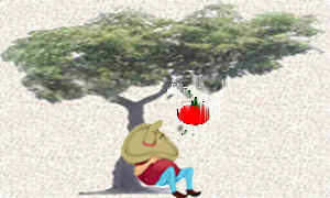 ���Ӭڨ� .....